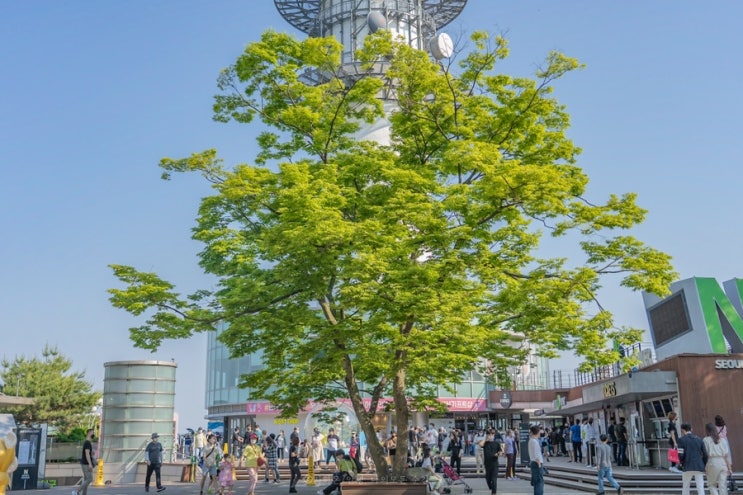  남산타워 가는법, 회현역에서 남산옛길 트레킹>남대문시장>숭례문
