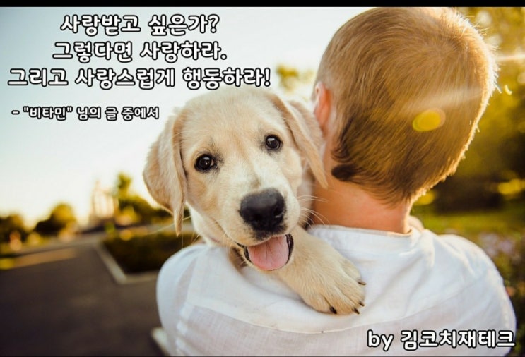  부거사이 [부동산 뉴스와 블로그] 6월 21일(월)