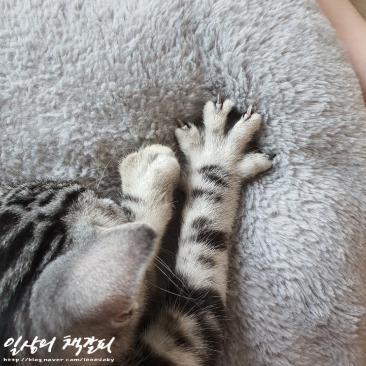  슈비일기 2021. 6. 21. 엄마는 어디에 있어요?