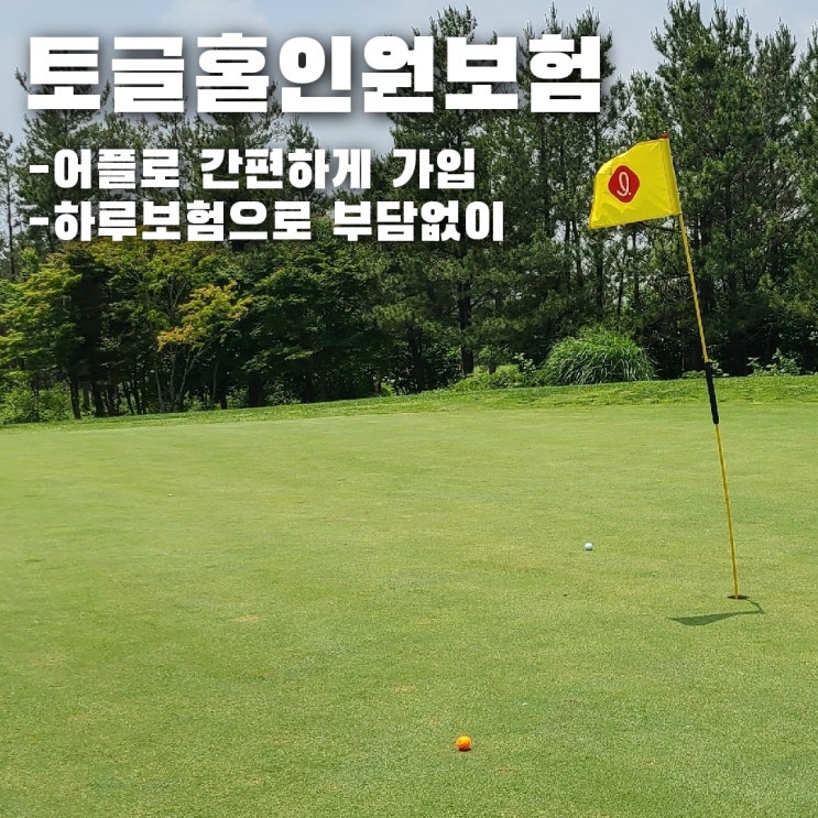  단 하루도 가입가능한 토글 하루보험으로 부담없이 보장받는 홀인원보험!!
