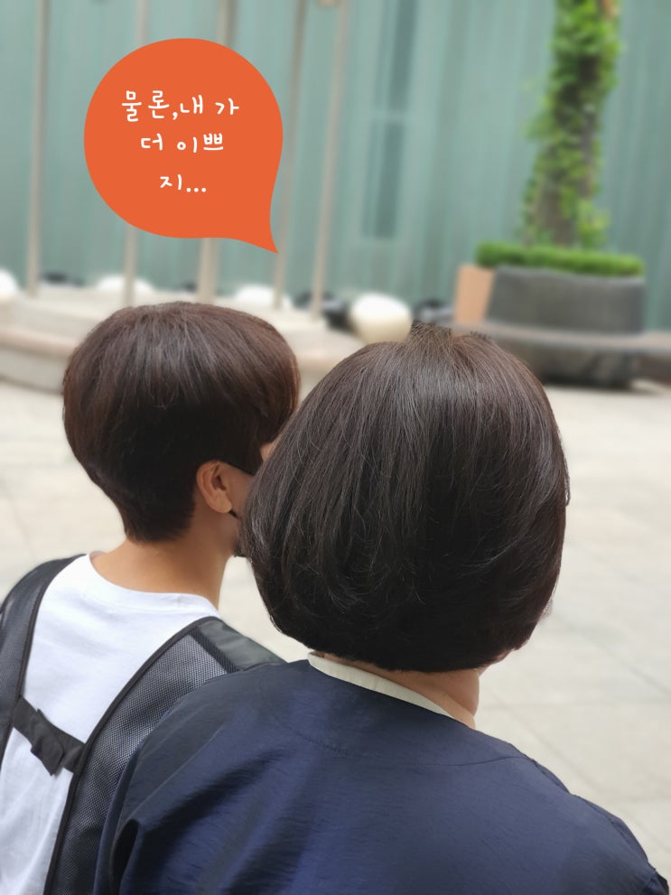  [노원 미용실 살롱 드 프롬 노원점]우린 제법 친해요 미용실 원장의 친구