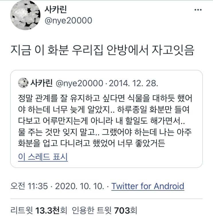 트위터 모음 :: 알아두면 유용한 꿀템과 명언