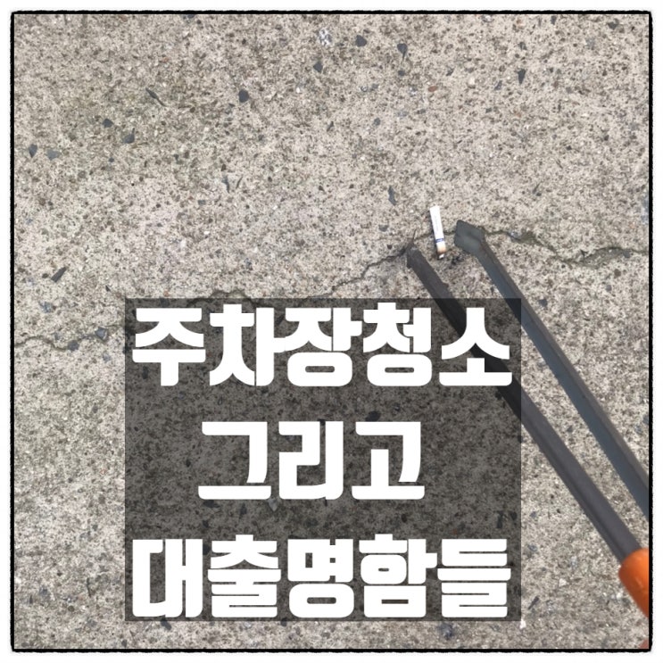 주차장 청소하면서 본 대출명함들 주차장 청소하면서 본 대출명함들