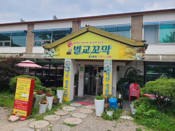  [일산맛집]단이네벌교꼬막 간장꼬막비빔밥