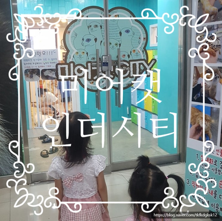  김포 구래동 아이들과 함께 가기 좋은 카페 "미어캣인더시티"(이색동물체험카페)다녀왔어요~