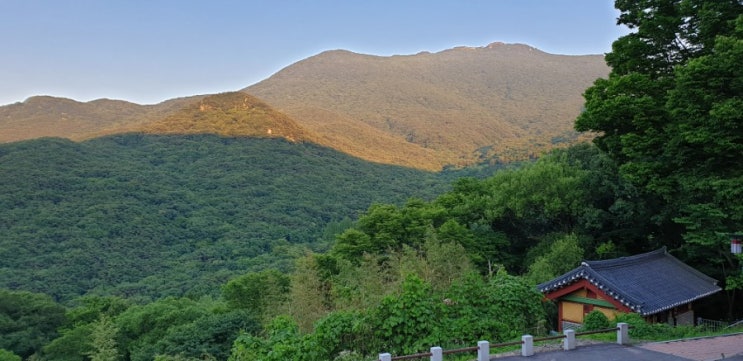  광주 바람쐬기 좋은곳 무등산 원효사 사찰에서 쉬어가요