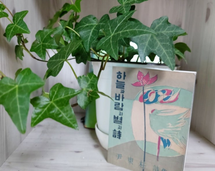하늘과 바람과 별과 시 윤동주 / 새로운길 서시 하늘과 바람과 별과 시 윤동주 / 새로운길 서시