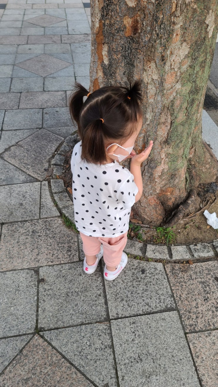  25개월 육아일기 부평에 노티드가 없다면 차차커피코 도넛