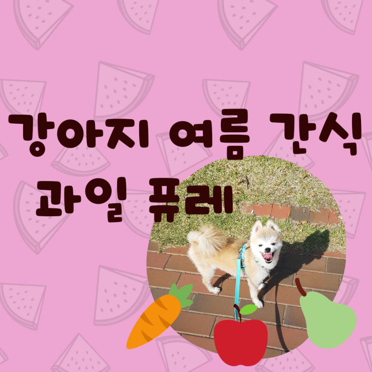  강아지간식 과일 퓨레  | 산책 후 체온 조절 | 내돈내산