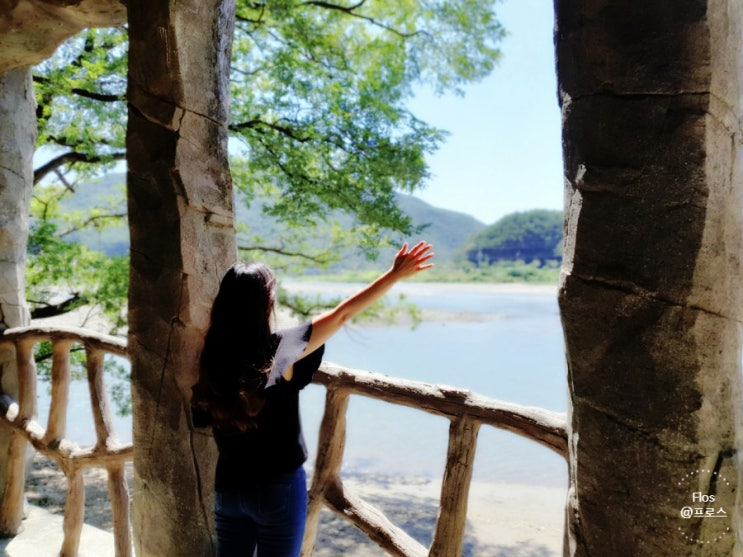  경상북도 울진 여행에서 가볼 만한 곳. 여름에도 시원한 성류굴. 볼거리가 많은 신비한 석회암 동굴에서 인생샷 찍고 오기