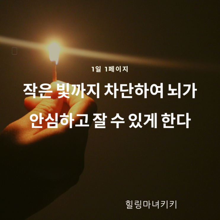  1일 1페이지  ㅡ 91일 빛을 발하는 것이 있는지 확인한다