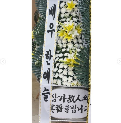 사진 4