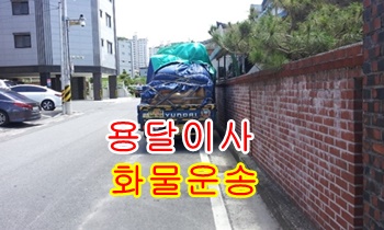 정자용달 강동 산하동 주전. 정자용달 강동 산하동 주전.