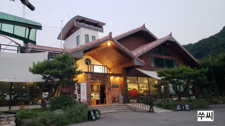  충주에 사는 악어와의 만남 게으른 악어