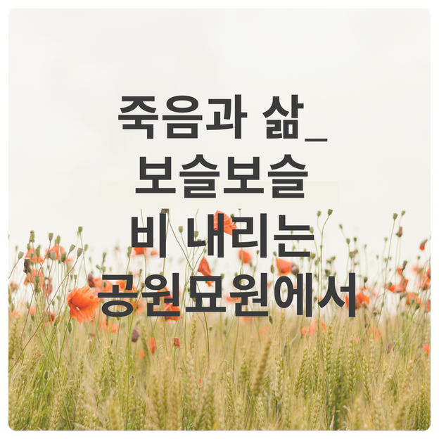  죽음과 삶_보슬보슬 비 내리는 공원묘원에서