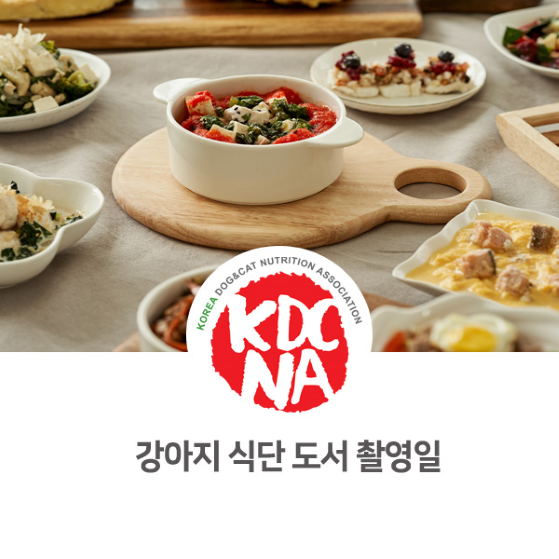  한국반려동물영양협회 박은정 펫영양사 강아지를 위한 식단 도서 촬영 후기_827 [펫푸드자격증/펫푸드아카데미/부산/대구/천안/청주/원주/창원/펫푸드창업반/펫푸드개발/강아지자연식]