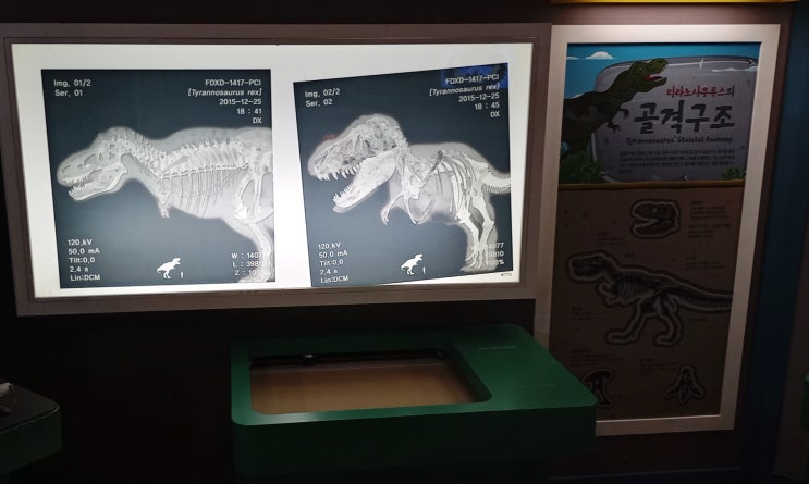 보성에서의 이색적인 공룡 체험  보성 비봉공룡공원 이용 후기