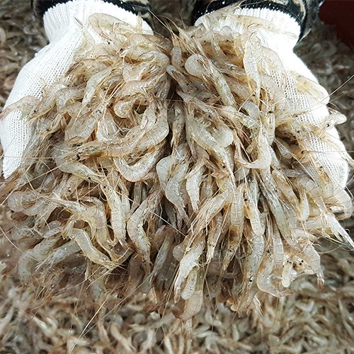 많이 팔린 자연나라 국내 자연산 민물새우 1kg ( 500g x 2팩 ), 1개, (500gx2팩) ··· 많이 팔린 자연나라 국내 자연산 민물새우 1kg ( 500g x 2팩 ), 1개, (500gx2팩) ···