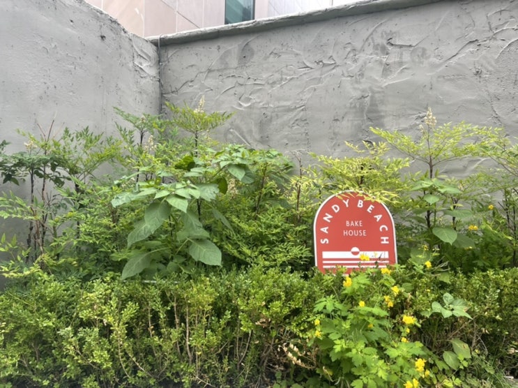  [서울 홍대] 비올 때 가기 좋은 베이커리 카페 샌디 비치와 캘리포니아 도넛 “맛있는 빵과 커피 넓은 공간”