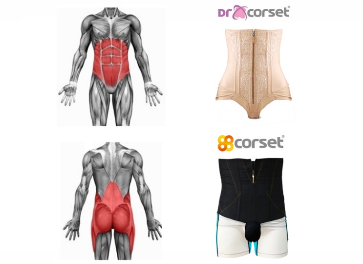  입는 자세교정 속옷, 닥터코어셋를 소개(척추측만/척추협착/어깨허리통증/오다리교정/골반틀어짐교정)