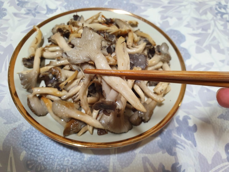 머쉬러브 자연산버섯 유기농버섯 맛있는버섯 고기느타리버섯 후기 고기버섯 버섯택배 버섯주문 버섯구매 머쉬러브 자연산버섯 유기농버섯 맛있는버섯 고기느타리버섯 후기 고기버섯 버섯택배 버섯주문 버섯구매