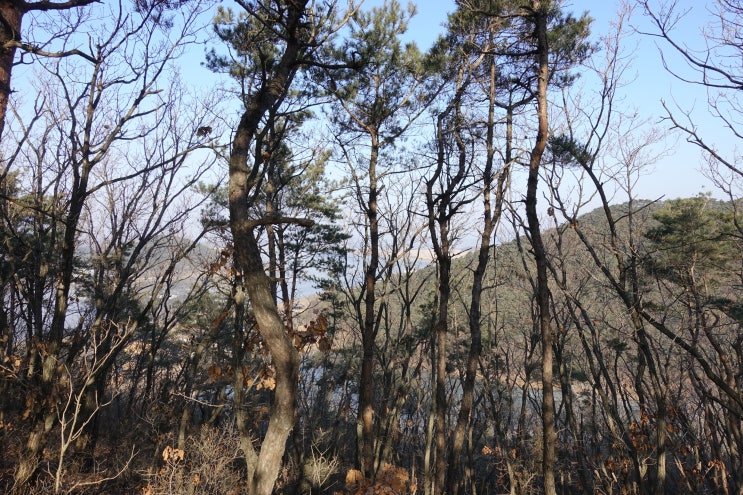  팔이 안올라가요 뒤로 젖혀지지 않을때