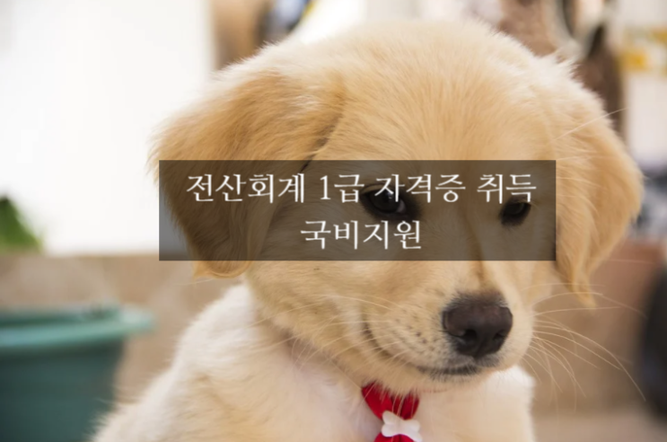  국비지원 전산회계 1급 자격증 쉽게 취득_서울IT직업전문학교
