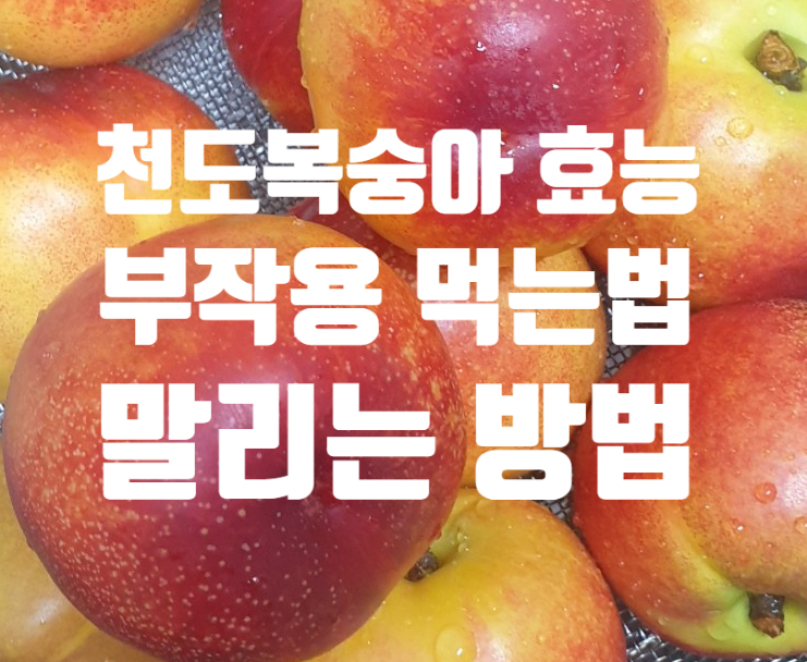  간. 골다공증 천도복숭아 효능 부작용 (ft. 말려 먹으면 간에 더 좋아요)