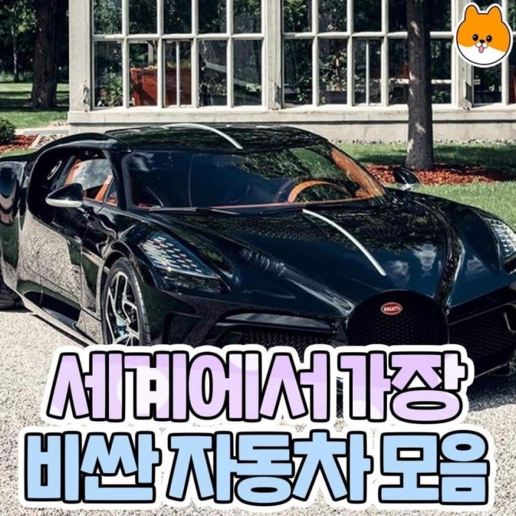  세계에서 가장 비싼차