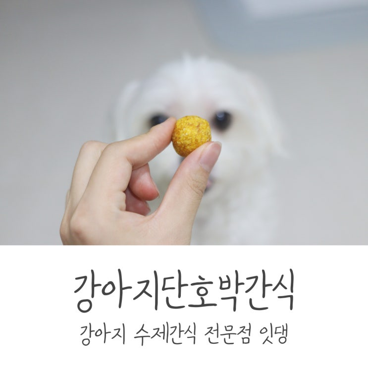 강아지단호박간식 / 강아지 수제간식 전문점 잇댕