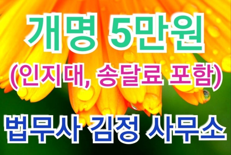  최근 함안, 마산, 양산, 광양, 광주, 원주, 서울 은평구 법원 개명허가결정 사례