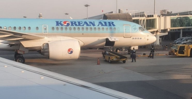  제주도 당일치기 관광 장소 주상절리+쇠소깍+제주레일바이크+애월+비자림 추천 가볼만 한 곳