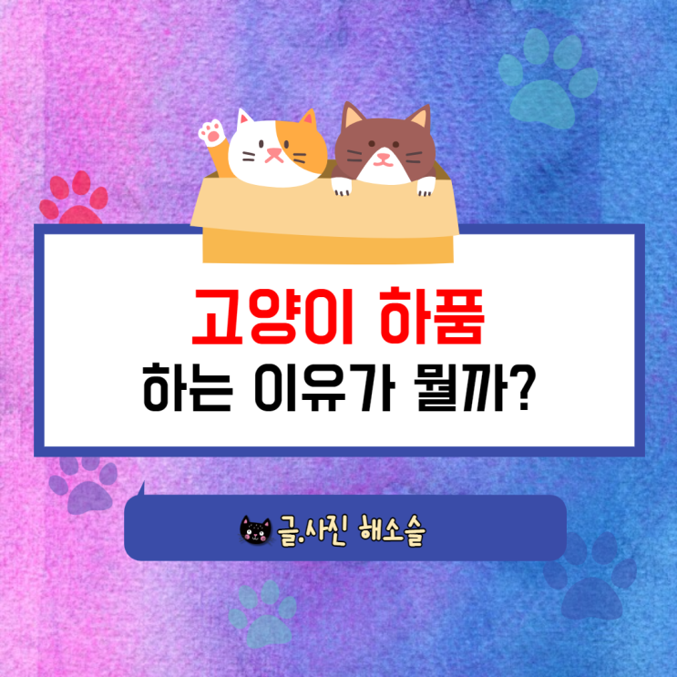  고양이 하품하는 이유가 뭘까요?