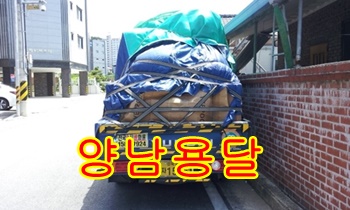 양남용달 양북 감포 운행. 양남용달 양북 감포 운행.