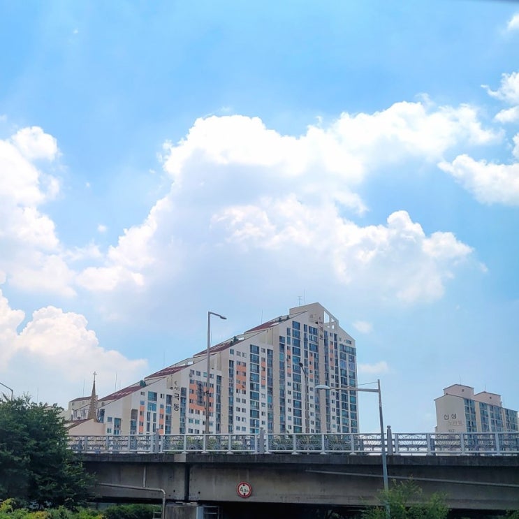  20210622 사진쨍쨍