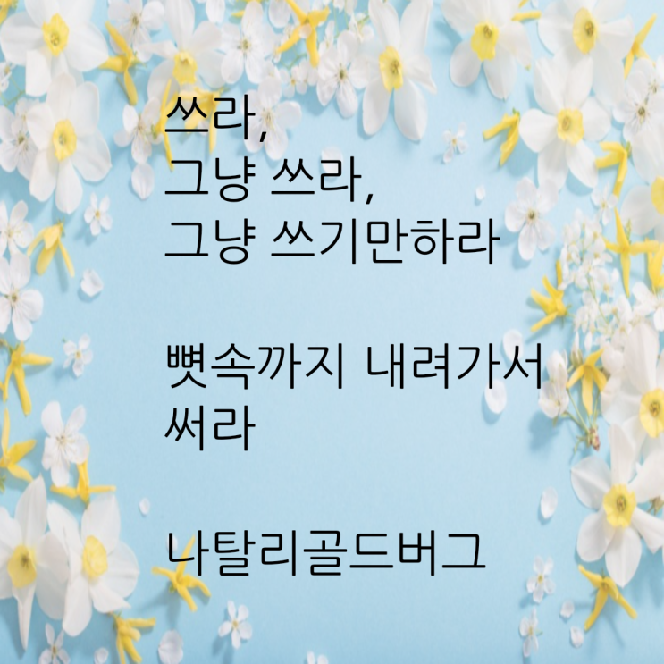  [1년 전 오늘] 뼛속까지 내려가서 써라/                   나탈리 골드버그