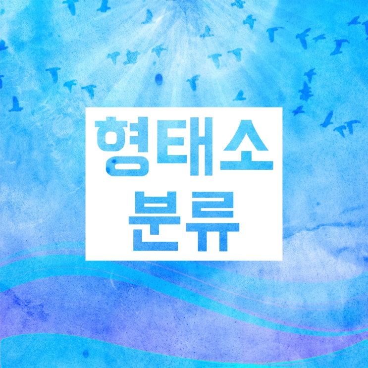 실질형태소 형식형태소 자립형태소 의존형태소 자세히 공부해봐요! 실질형태소 형식형태소 자립형태소 의존형태소 자세히 공부해봐요!