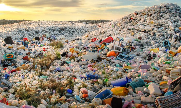  제로 웨이스트(zero waste) 에서 페기물 에너지까지