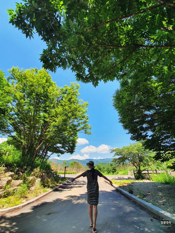  양구 팔랑골캠핑장(21.06.18~21.06.20)