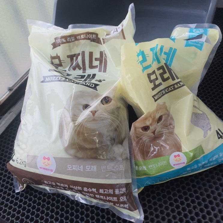  내돈내산 가성비 고양이 화장실 모래<모찌네모래> 리뷰 - 고양이화장실 냄새 심하신분 주목!