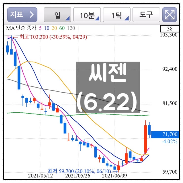  [미자의 주식일기] 씨젠(6.22)