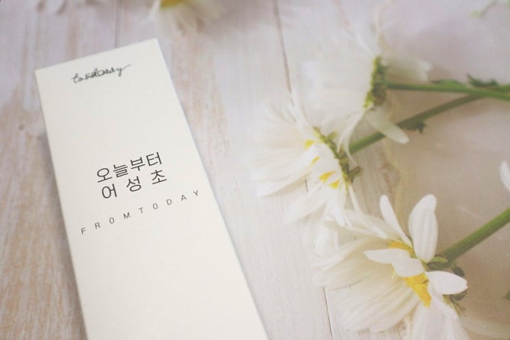  어성초 천연유래성분 오늘부터어성초 촉촉해