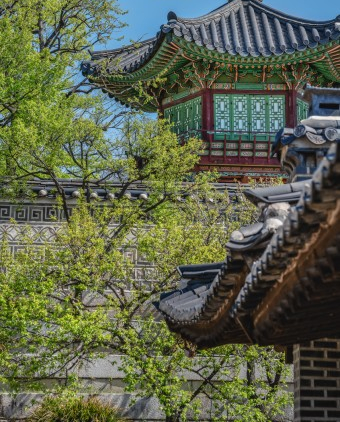  유네스코 세계 문화유산 창덕궁
