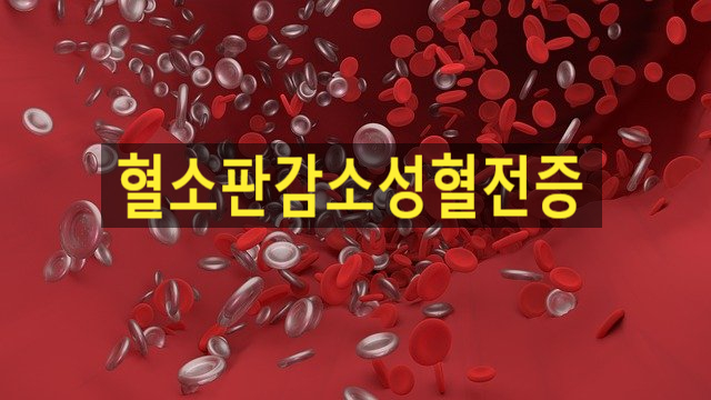 <혈소판감소성 혈전증>에 대해 알려드립니다.
