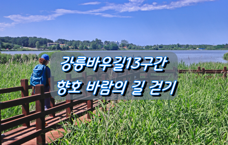 강릉바우길13구간 향호 바람의 길 걷기 강릉바우길13구간 향호 바람의 길 걷기