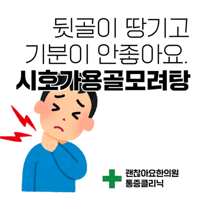  뒷골이 땡겨요. 시호가용골모려탕 [통증의 한방치료 6] ③