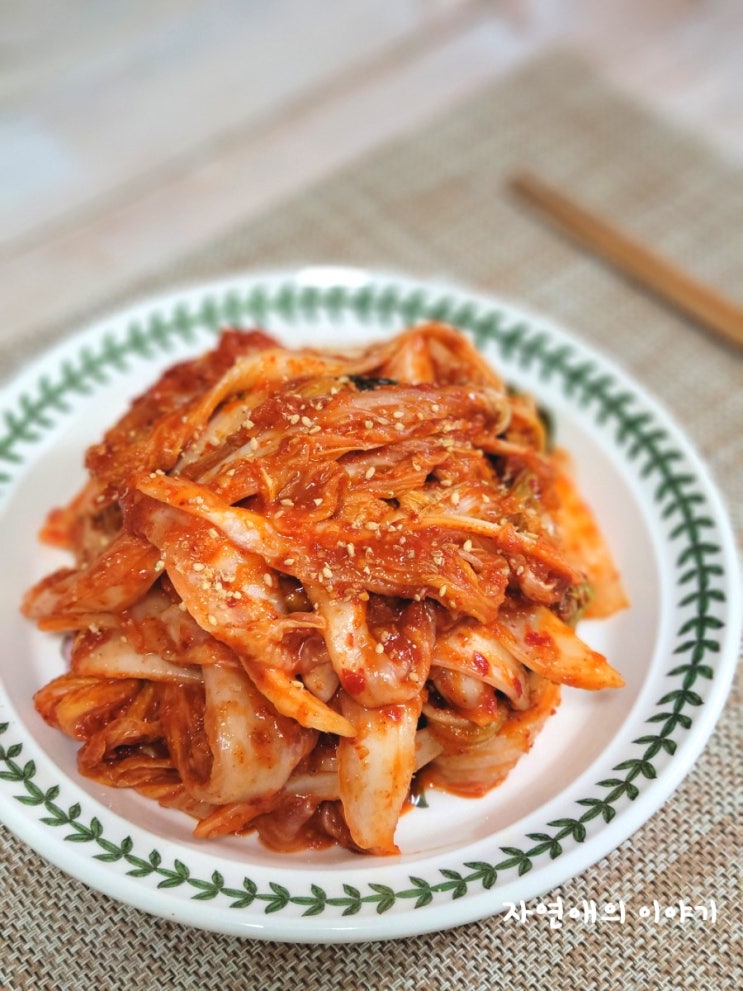  배추김치 담는법 장마철대비 여름김장김치담기