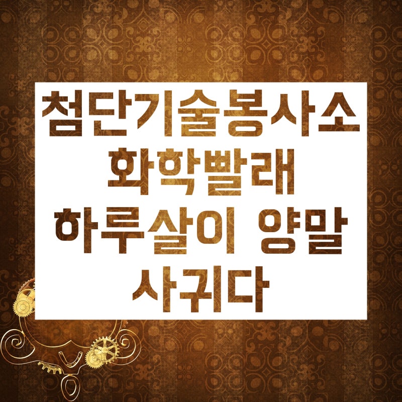북한말 :: 남한말과 비교해서 재미있는 20가지만 알아볼까요? : 네이버 블로그