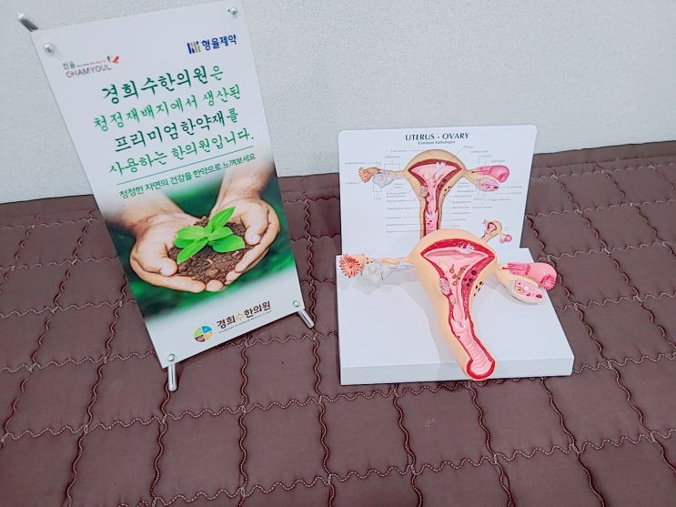 수원 생리통 한의원에서 첩약보험으로 한약 치료받으세요 수원 생리통 한의원에서 첩약보험으로 한약 치료받으세요