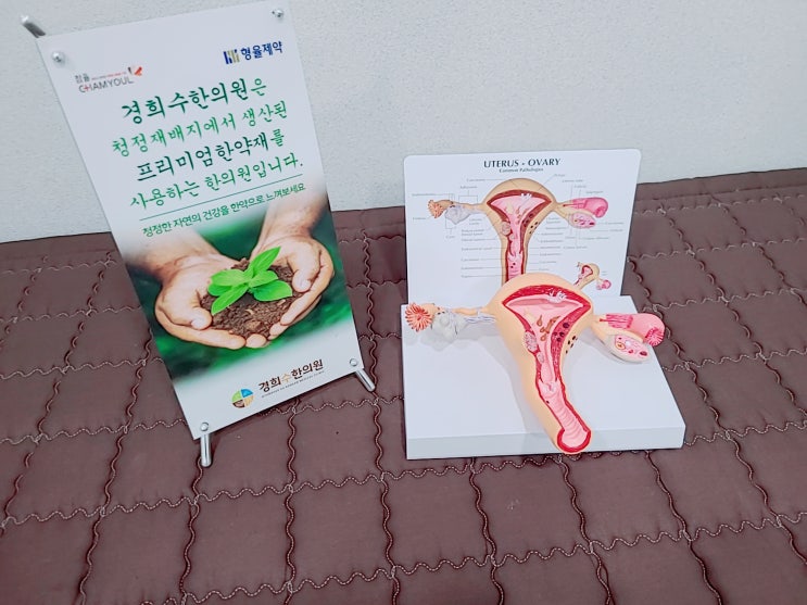 수원 생리통 한의원에서 첩약보험으로 한약 치료받으세요